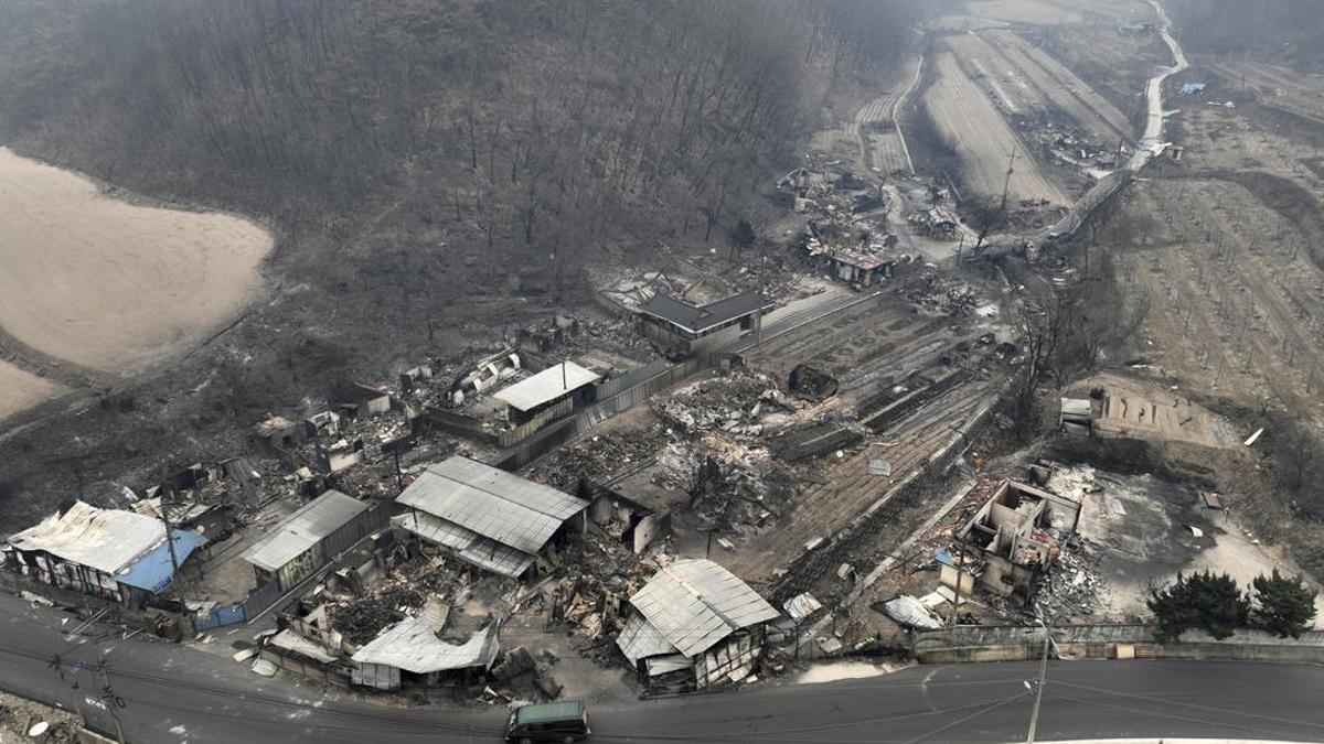 Güney Kore’deki orman yangınlarında 7’nci gün: Can kaybı 26’ya, yaralı sayısı 30’a yükseldi