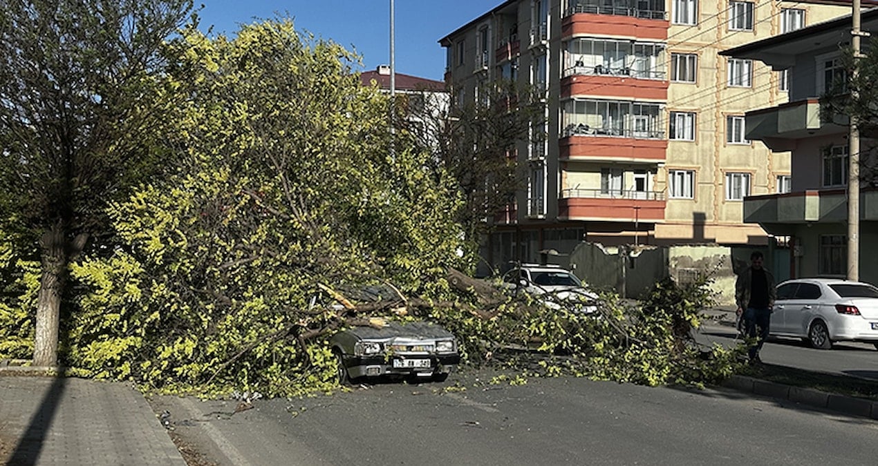 Seyir halindeyken üzerine ağaç devrildi: Sürücü yaralandı
